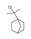 4-(2-chloropropan-2-yl)bicyclo[2.2.1]heptane Structure