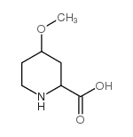 4-methoxy-piperidine-2-carboxylic acid picture