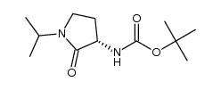 tert-butyl N-[(3S)-1-isopropyl-2-oxo-pyrrolidin-3-yl] carbamate结构式