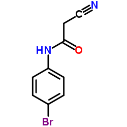 N-(4-Bromophenyl)-2-cyanoacetamide Structure