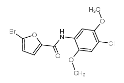 5-bromo-N-(4-chloro-2,5-dimethoxyphenyl)furan-2-carboxamide结构式