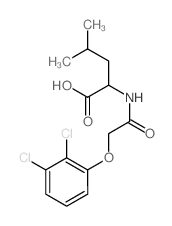 2-[[2-(2,3-dichlorophenoxy)acetyl]amino]-4-methyl-pentanoic acid structure