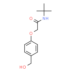 N-(TERT-BUTYL)-2-(4-(HYDROXYMETHYL)PHENOXY)ACETAMIDE picture