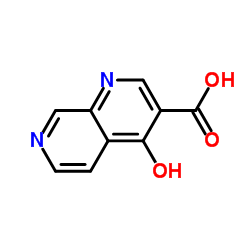 4-Hydroxy-1,7-naphthyridine-3-carboxylic acid图片
