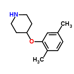 4-(2,5-Dimethylphenoxy)piperidine Structure
