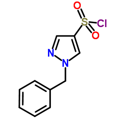 1-Benzyl-1H-pyrazole-4-sulfonyl chloride结构式