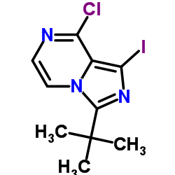 3-(tert-butyl)-8-chloro-1-iodoimidazo[1,5-a]pyrazine structure
