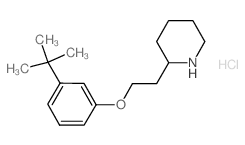 2-{2-[3-(tert-Butyl)phenoxy]ethyl}piperidine hydrochloride Structure