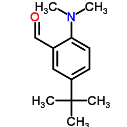 2-(Dimethylamino)-5-(2-methyl-2-propanyl)benzaldehyde Structure