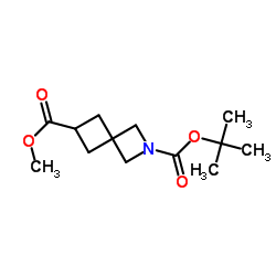 2-叔丁基6-甲基2-氮杂螺[3.3]庚烷-2,6-二羧酸酯结构式