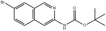 (7-溴异喹啉-3-基)氨基甲酸叔丁酯图片