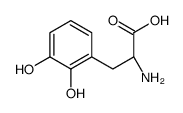 (R)-2-AMINO-3-(2,3-DIHYDROXYPHENYL)PROPANOIC ACID structure