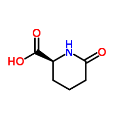 (s)-2-piperidinone-6-carboxylic acid picture
