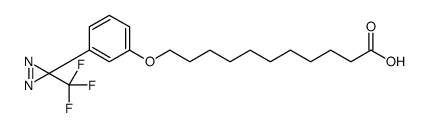 11-[3-[3-(trifluoromethyl)diazirin-3-yl]phenoxy]undecanoic acid结构式