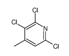 2,3,6-trichloro-4-methylpyridine picture