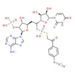 5'-(((4-azidophenacyl)thio)phosphoryl)adenylyl(3'-5')uridine结构式