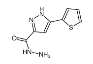 3-(Thiophen-2-yl)-1H-pyrazole-5-carbohydrazide structure