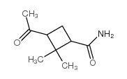 Cyclobutanecarboxamide, 3-acetyl-2,2-dimethyl- (9CI) Structure