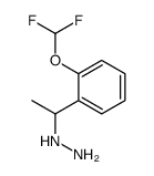 1-[2-(difluoromethoxy)phenyl]ethylhydrazine Structure