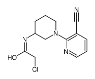 2-Chloro-N-(3'-cyano-3,4,5,6-tetrahydro-2H-[1,2']bipyridinyl-3-yl)-acetamide structure