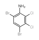 4,6-dibromo-2,3-dichloroaniline structure
