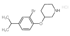3-(2-Bromo-4-isopropylphenoxy)piperidine hydrochloride结构式