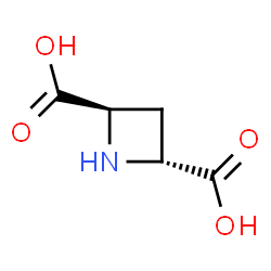 azetidine-2,4-dicarboxylic acid structure