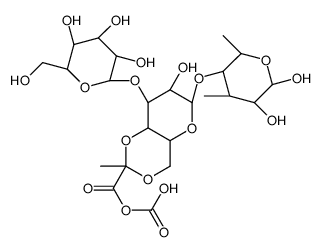 exopolysaccharide, Pseudomonas picture