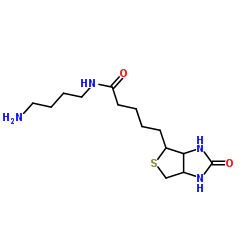 Biotin-C4-amide-C5-NH2 Structure