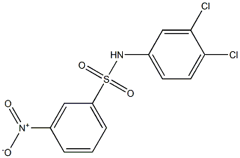 N-(3,4-二氯苯)-3-硝基苯磺酰胺图片