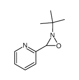2-tert-butyl-3-pyridinyloxaziridine Structure