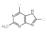 6,8-dichloro-2-methyl-5H-purine structure