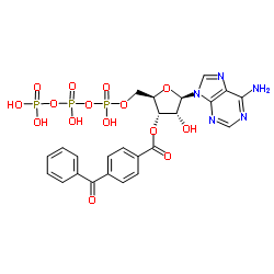 3'-O-(4-benzoyl)benzoyladenosine 5'-triphosphate picture