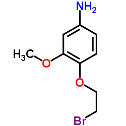 4-(2-Bromoethoxy)-3-methoxyaniline结构式