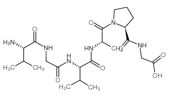 Chemotactic Domain of Elastin Structure