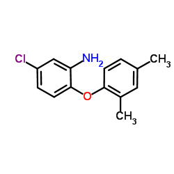 5-Chloro-2-(2,4-dimethylphenoxy)aniline结构式