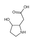 2-(3-hydroxypyrrolidin-2-yl)acetic acid Structure