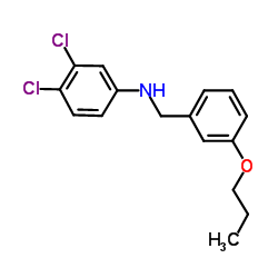 3,4-Dichloro-N-(3-propoxybenzyl)aniline结构式