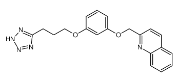 2-[[3-[3-(2H-tetrazol-5-yl)propoxy]phenoxy]methyl]quinoline结构式