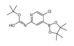 2-(TERTBUTYLOXYCARBONYLAMINO)-5-CHLOROPYRIDINE-4-BORONIC ACID PINACOL ESTER picture