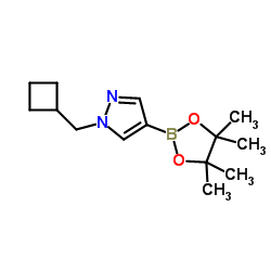 1-(Cyclobutylmethyl)-4-(4,4,5,5-tetramethyl-1,3,2-dioxaborolan-2-yl)-1H-pyrazole Structure