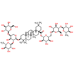 红背银莲花皂甙R8图片