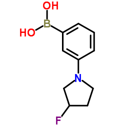 [3-(3-Fluoro-1-pyrrolidinyl)phenyl]boronic acid结构式