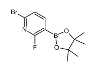 6-bromo-2-fluoro-3-(4,4,5,5-tetramethyl-1,3,2-dioxaborolan-2-yl)pyridine结构式