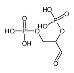 17453-91-7 structure