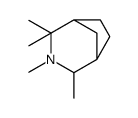 2,2,3,4-Tetramethyl-3-azabicyclo[3.2.1]octane Structure
