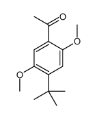 1-(4-tert-butyl-2,5-dimethoxyphenyl)ethanone结构式