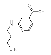 2-(丁基氨基)异烟酸结构式