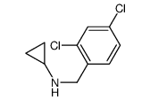 Cyclopropyl-(2,4-dichloro-benzyl)-amine structure