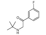 2-(tert-butylamino)-1-(3-fluorophenyl)ethanone结构式